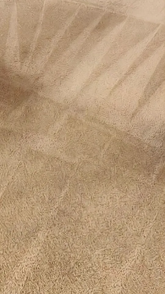 The same carpet after cleaning, even color with fresh stripes